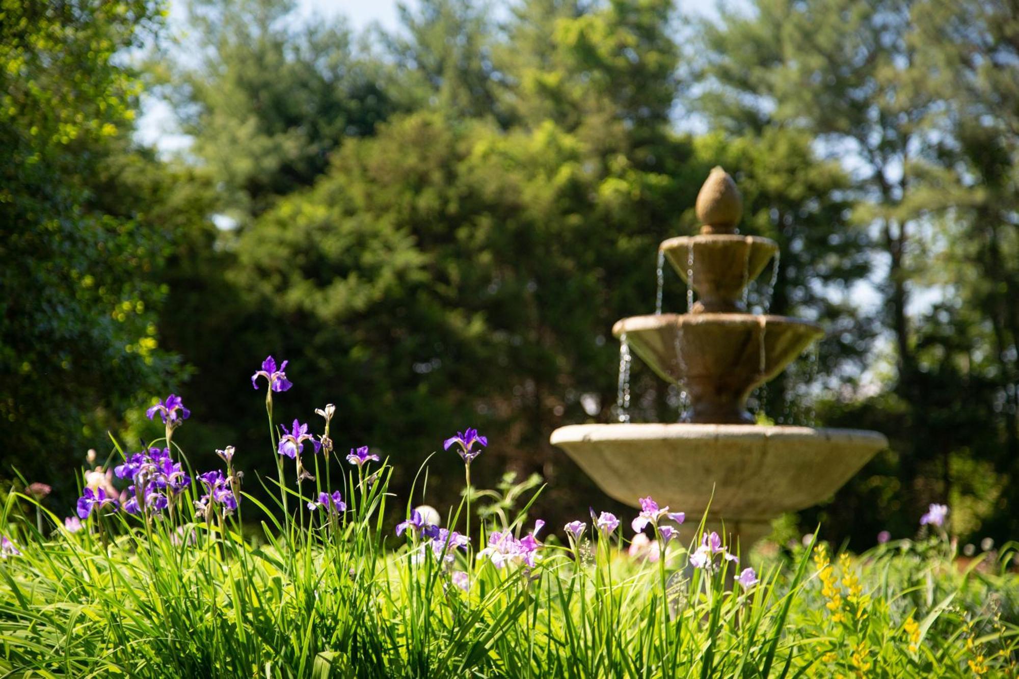 Brampton 1860 Bed & Breakfast Chestertown Bagian luar foto